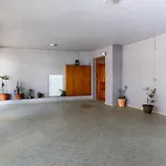 Laurel Heights Apartment
